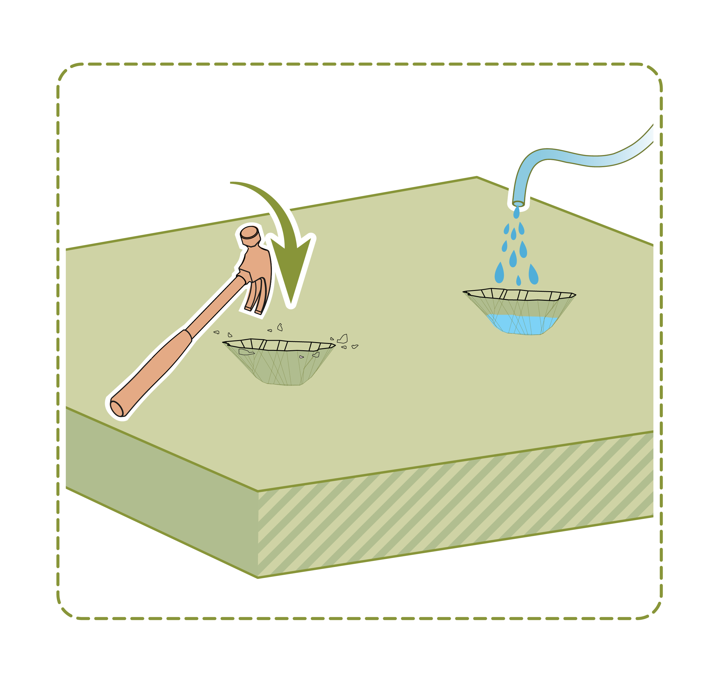If ground is too hard, loosen soil and water